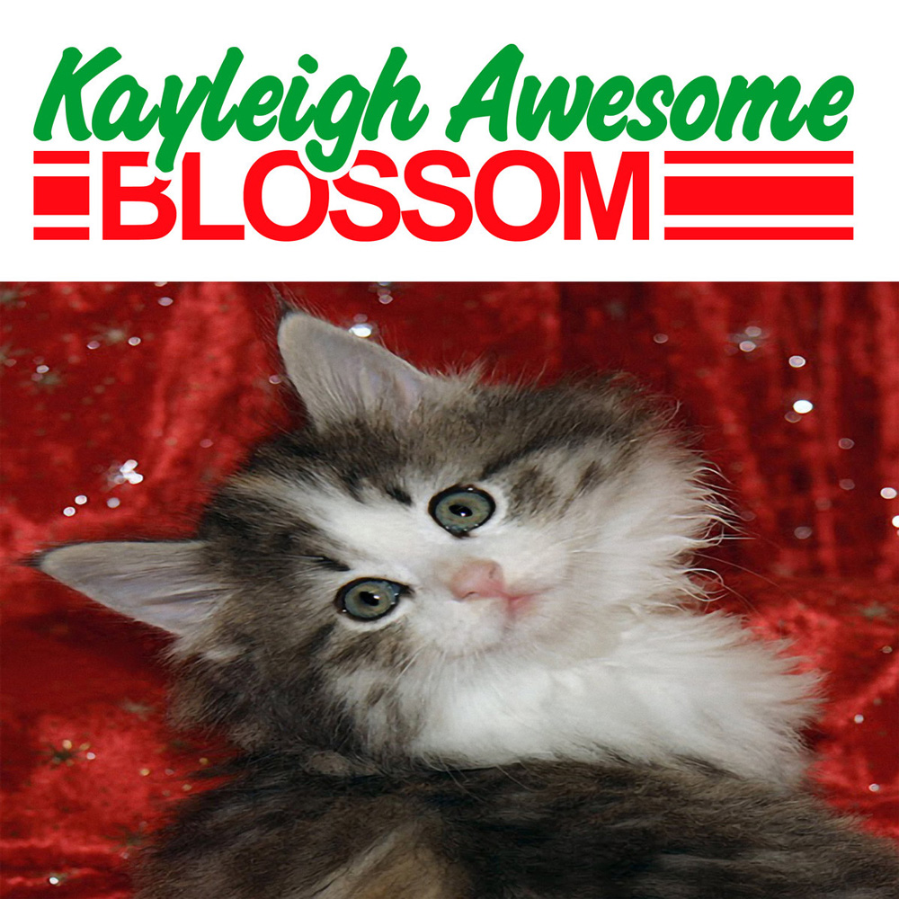 Kayleigh. A Blossom Album